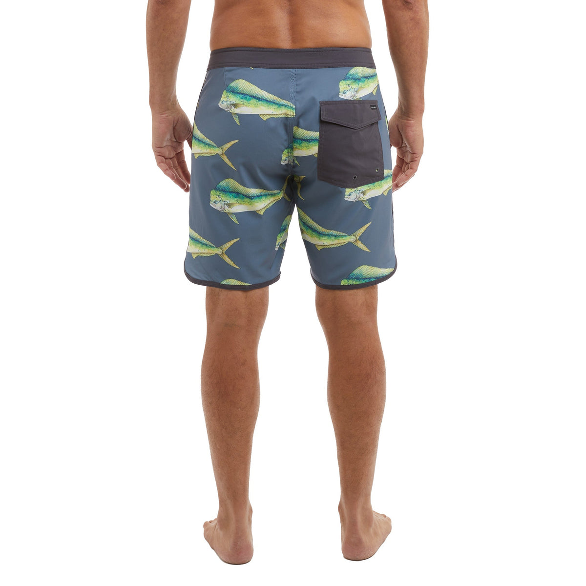 Pelagic Boardshorts 18" - High Spot